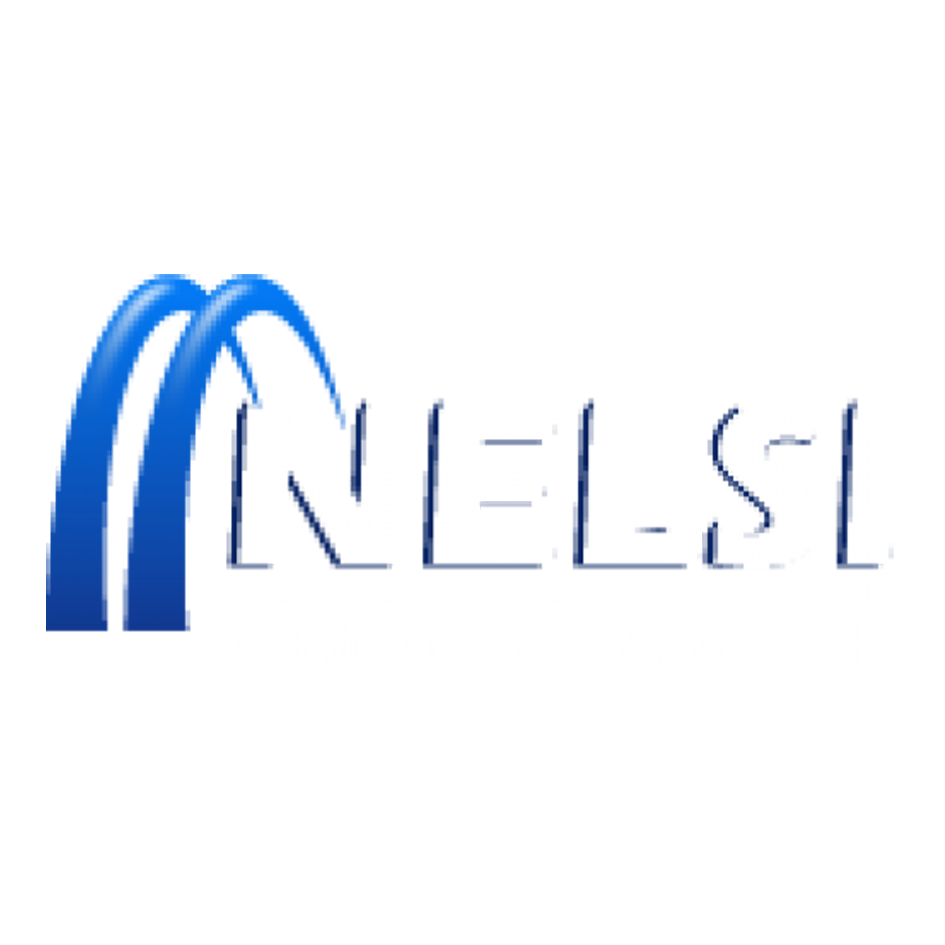 NELSI