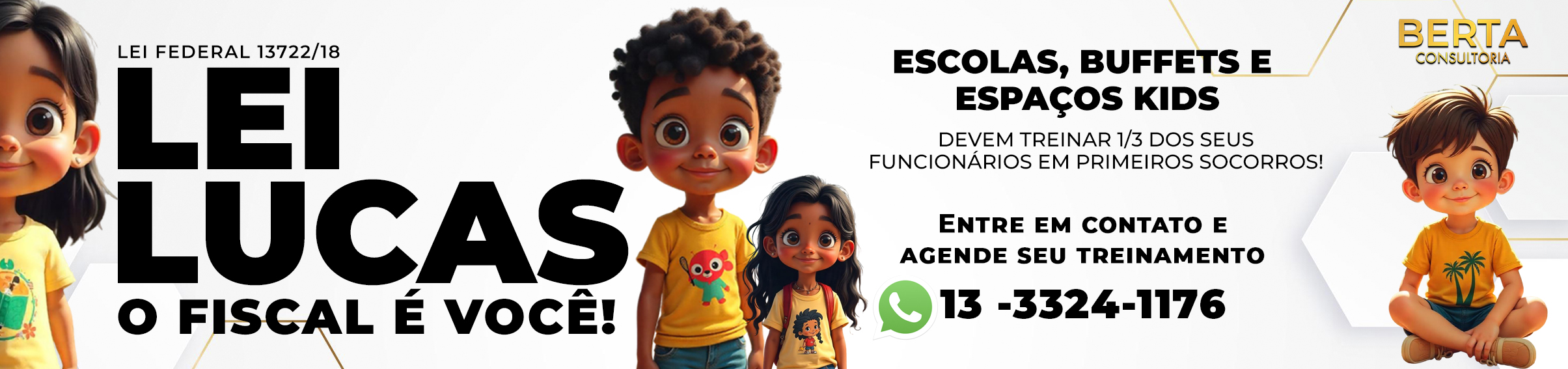 BANNER SITE - LEI LUCAS